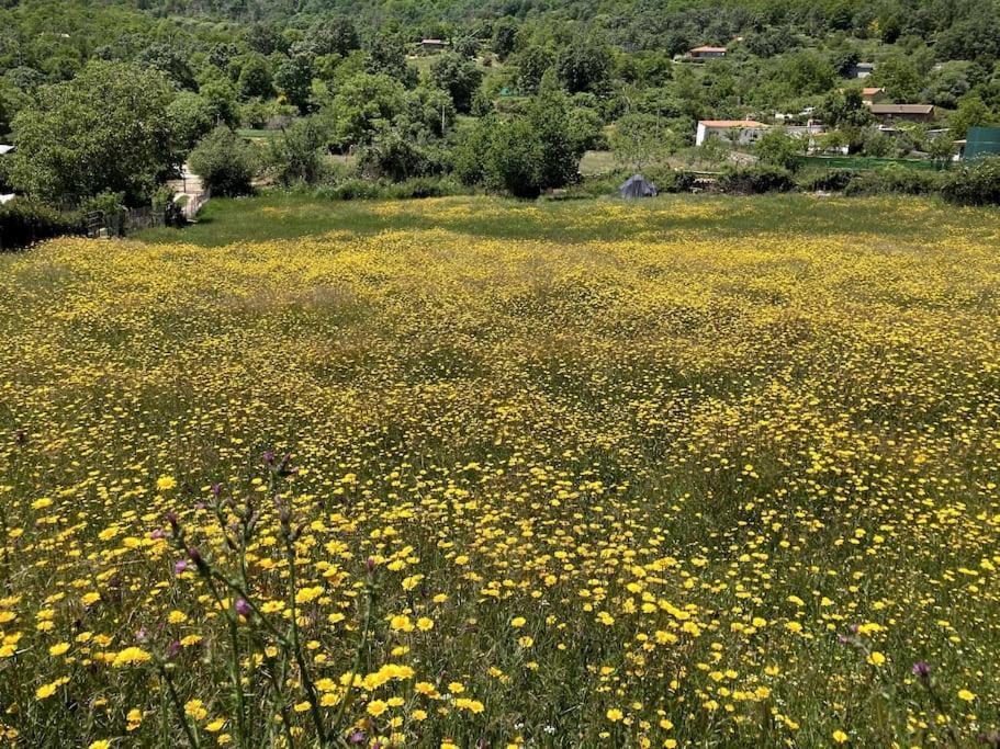 Atico Mirador Del Pielago El Real de San Vicente Eksteriør billede